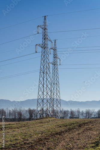 Wallpaper Mural cultivated field and poles of electric current Torontodigital.ca
