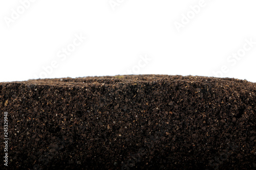 Obraz na płótnie ground isolated on white background w salonie