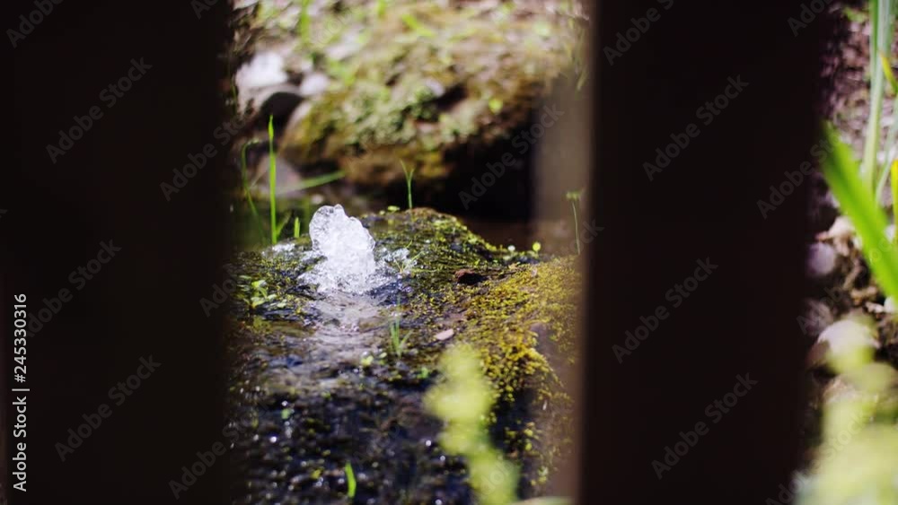 A small plant-lined pond, in the middle of which a small fountain gushes - Ein kleiner pflanzenumsäumter Teich, in dessen Mitte ein kleine Fontäne sprudelt