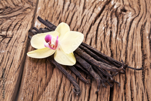 Dried vanilla pods and orchid vanilla flower on wooden table.