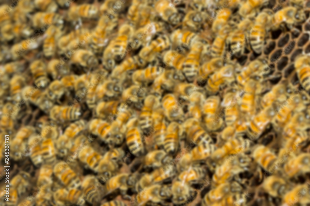 blurred bees in honeycomb background blurred bees in honeycomb background