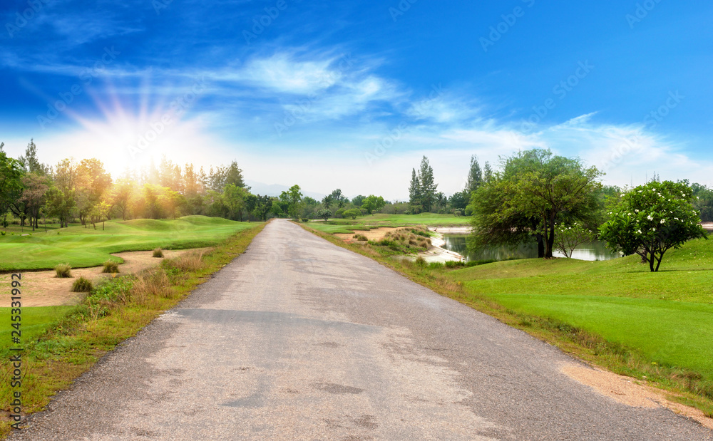 Fototapeta premium Beautiful landscape of Asphalt road with trees beside on summer in rural