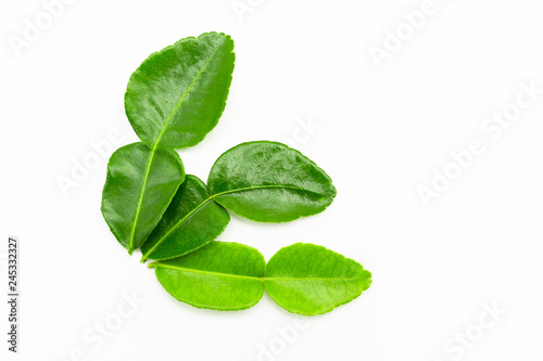 Kaffir lime leaves isolated on white background.