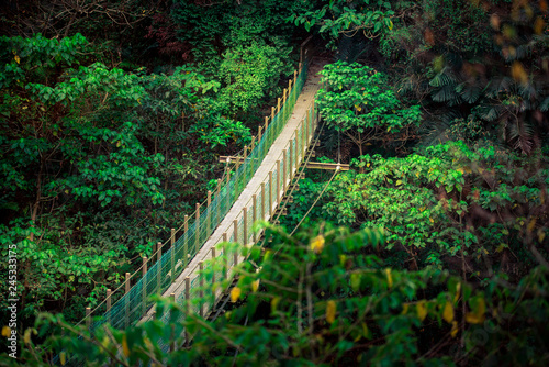 Small suspension bridge in Maolin gorge (Taiwan) photo