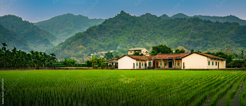 Fototapeta premium A traditional Hakka house just next to a rice paddy (Taiwan)