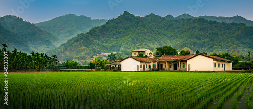 A traditional Hakka house just next to a rice paddy (Taiwan)
