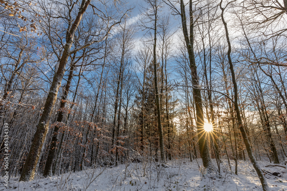 Wunderschöne Winterlandschaft mit Sonne im Gegenlicht
