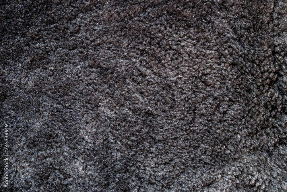 Fototapeta premium Natural animal fur background texture.