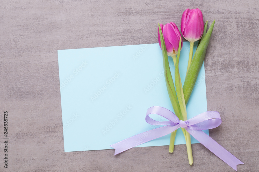 Fototapeta premium Spring greeting card, pink color tulips on the gray background.
