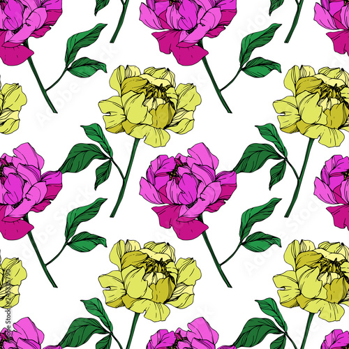 Vector Purple and yellow peony floral botanical flower. Engraved ink art. Seamless background pattern. photo