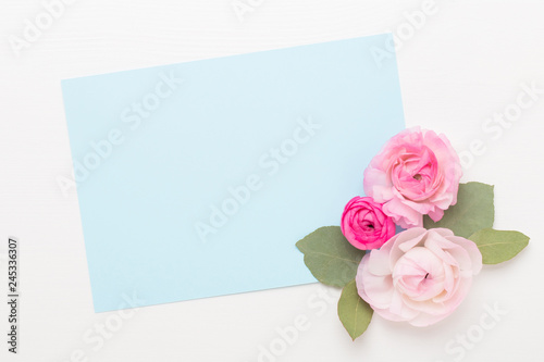 Beautiful colored ranunculus flowers on a white background. Spring greeting card.