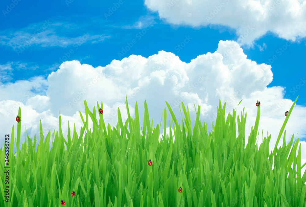 Obraz premium sky with clouds