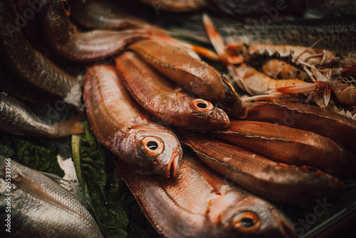 Different fresh fishes on market stall photo