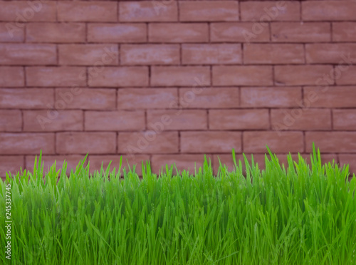 green grass on red brick background