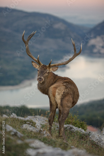 parco nazionale d'abruzzo