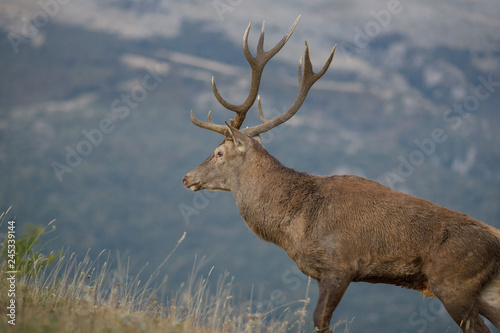 parco nazionale d abruzzo