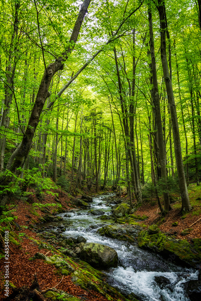 spring in the mountain, bulgaria spring in the mountain, bulgaria