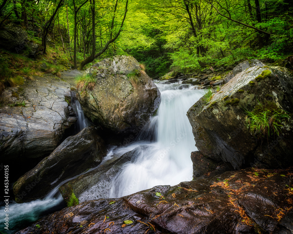 spring in the mountain, bulgaria