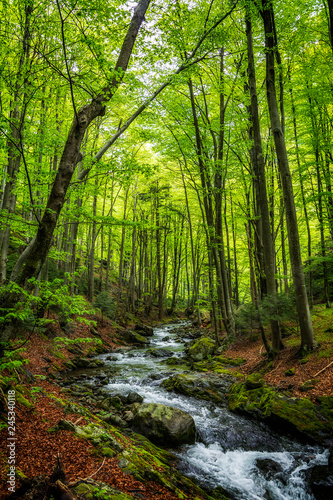 spring in the mountain, bulgaria