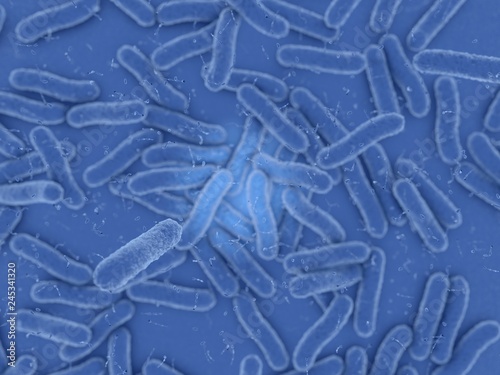 blue bacteria with small particles