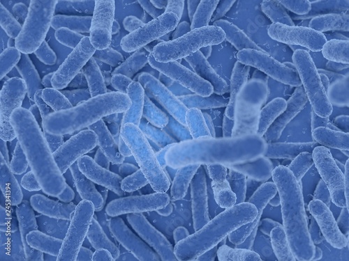 Blue bacteria with small particles