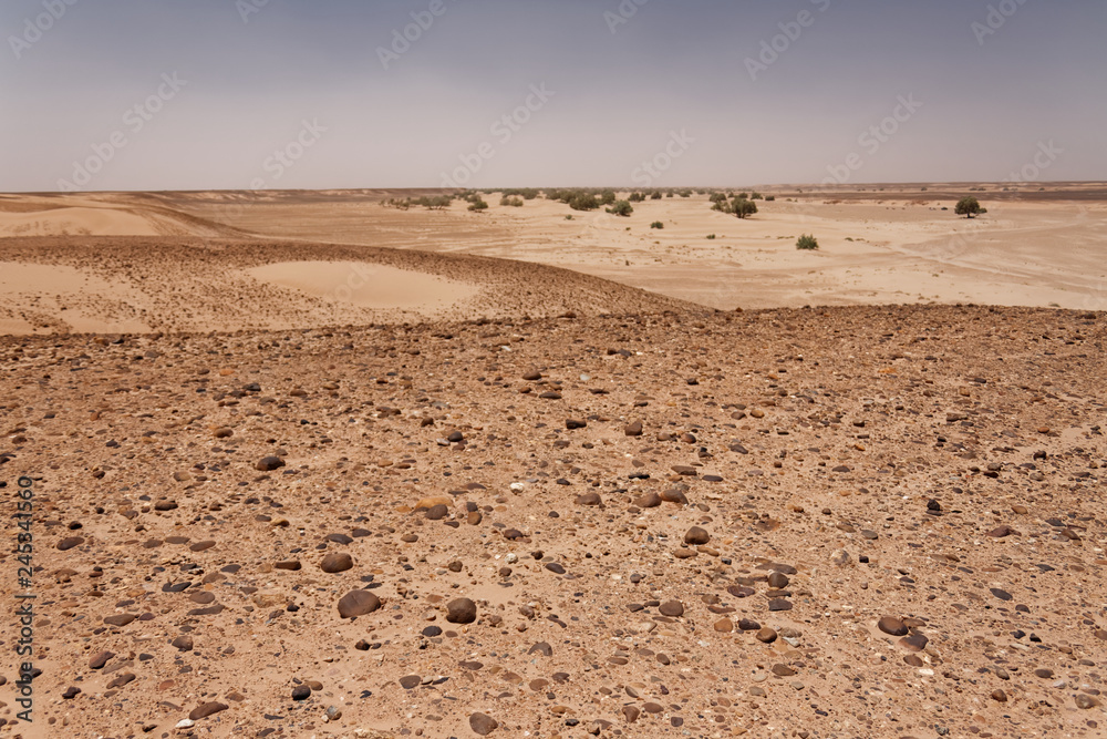 Fragmenty piaszczystej pustyni Sahara - obrazy, fototapety, plakaty 