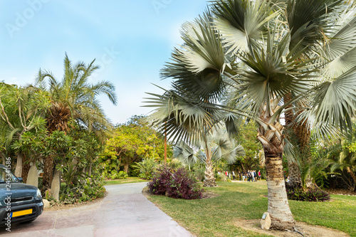 An amazing Botanical Garden with resort  -  Ein Gedi kibbutz Israel, Dead See, Negev Desert  photo