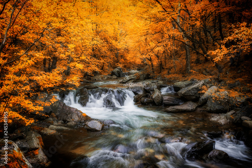 Autumn in old mountain  bulgaria