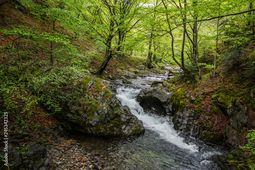 spring in the mountain, bulgaria