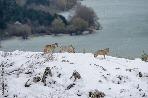 parco nazionale d'abruzzo
