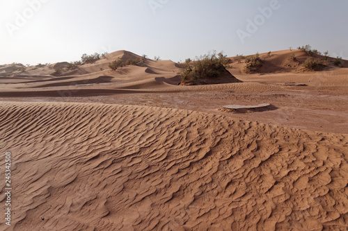 Fragmenty piaszczystej pustyni Sahara