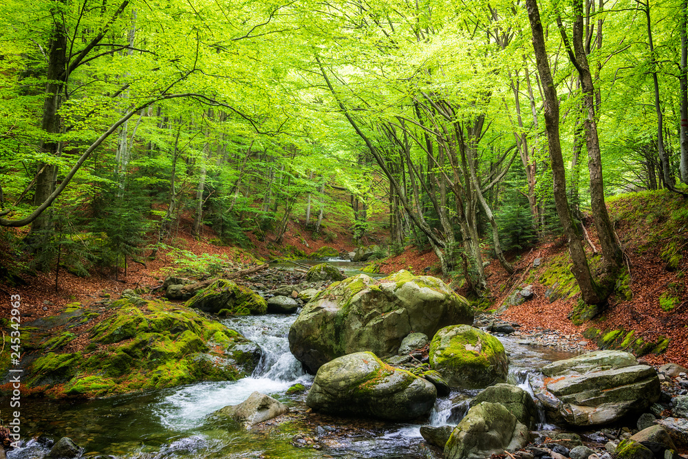 spring in the mountain, bulgaria spring in the mountain, bulgaria