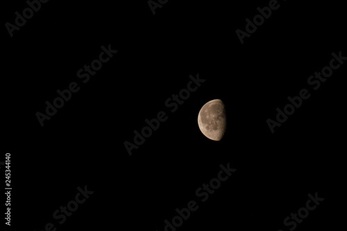 to the moon