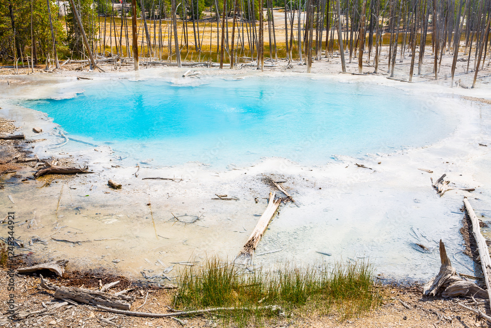 Yellowstone National Park, Wyoming and Montana, USA Yellowstone National Park, Wyoming and Montana, USA