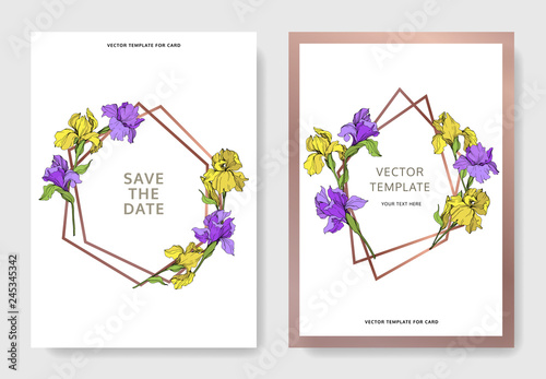 Vector Yellow and purple iris botanical flower. Engraved ink art. Wedding background card floral decorative border.