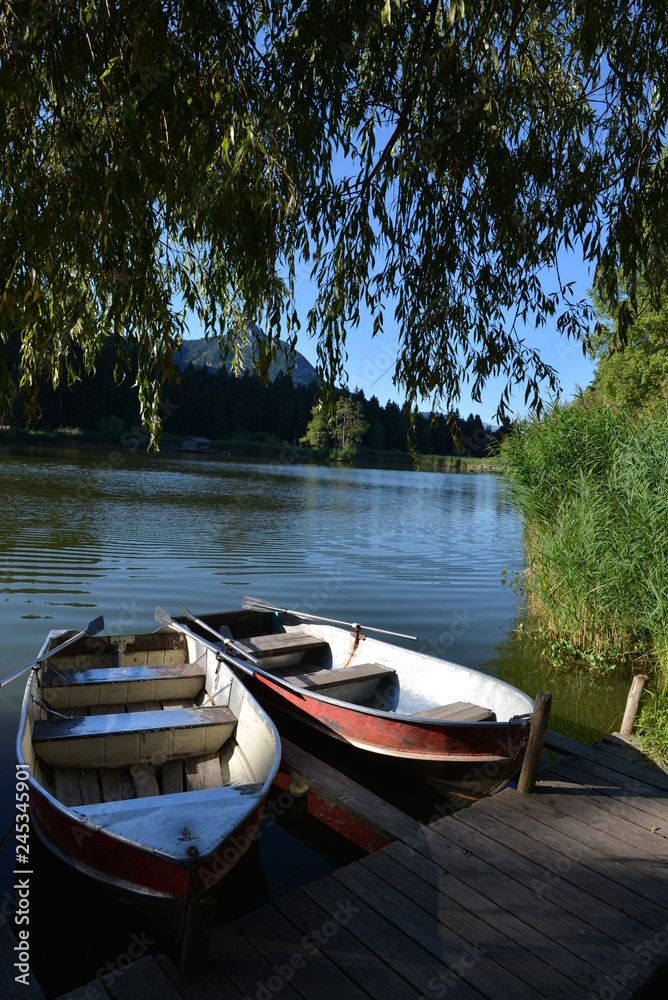 Le barche sul lago