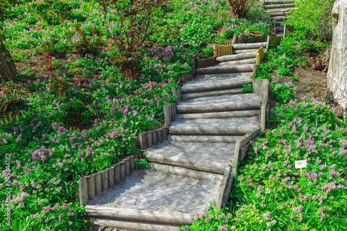 Obraz na płótnie Staircase in Tartu Botanical Garden, Estonia w salonie