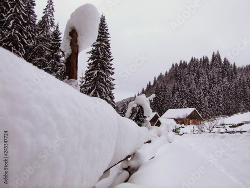 Winter Fairy Glade at Poiana Zanelor, ROMANIA, BISTRITA photo