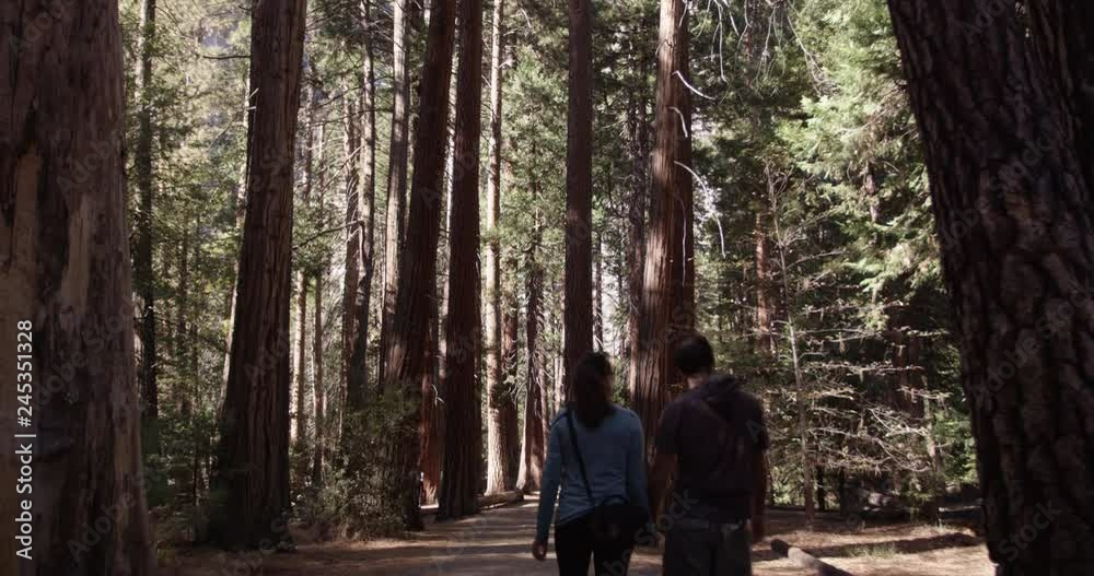 Tilt shot of Tracking shot of tourits enjoying the sunny day at Yosemite National Park, Califorina, Shot with Red Epic Tilt shot of Tracking shot of tourits enjoying the sunny day at Yosemite National Park, Califorina, Shot with Red Epic