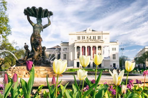 Theater building and tulips in the park photo