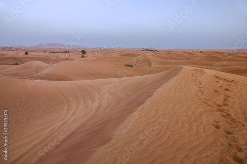 Sand desert dunes in United Arab Emirates  Dubai