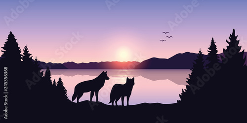 two wolves look to the lake and mountain landscape at sunrise vector illustration EPS10