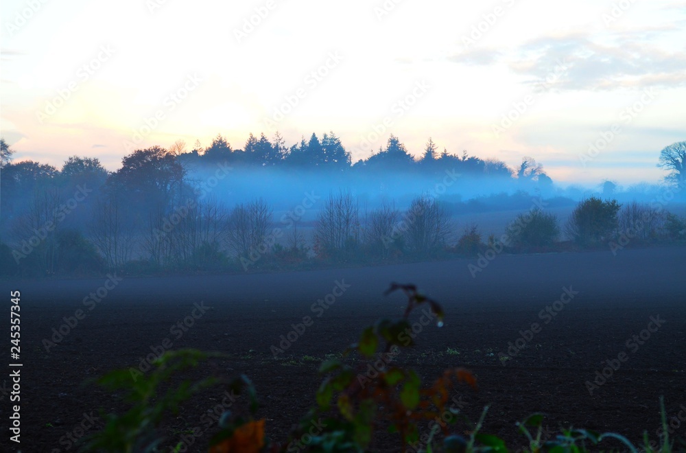 Brouillard du matin