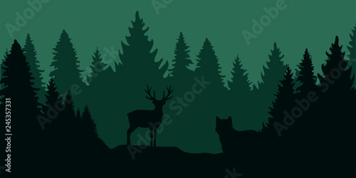 wolf is watching deer in the forest by night vector illustration EPS10