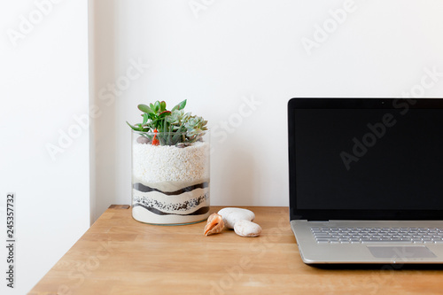 Laptop and miniature garden with succulents and colored sand in glass vase on table desk. Florarium. Home indoor plants. photo