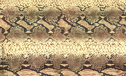 Snake skin texture. Reptile seamless background for design.