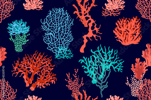 Canvas Print Living corals in the ocean.