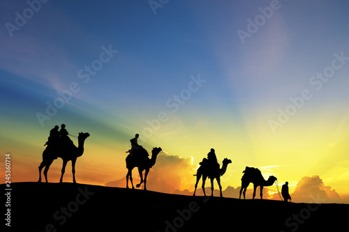 caravan Walking with camel through Thar Desert in India, Show silhouette and dramatic sky