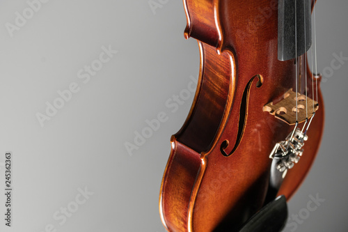 Geige im detail 