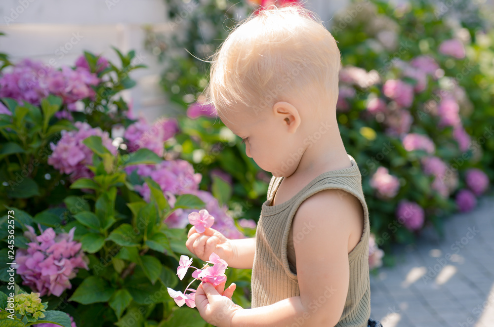Childrens day. Small baby boy. Summer. Mothers or womens day. New life concept. Spring holiday. Little boy at blooming flower. Spring flowers. Childhood. Perfect spring day Childrens day. Small baby boy. Summer. Mothers or womens day. New life concept. Spring holiday. Little boy at blooming flower. Spring flowers. Childhood. Perfect spring day